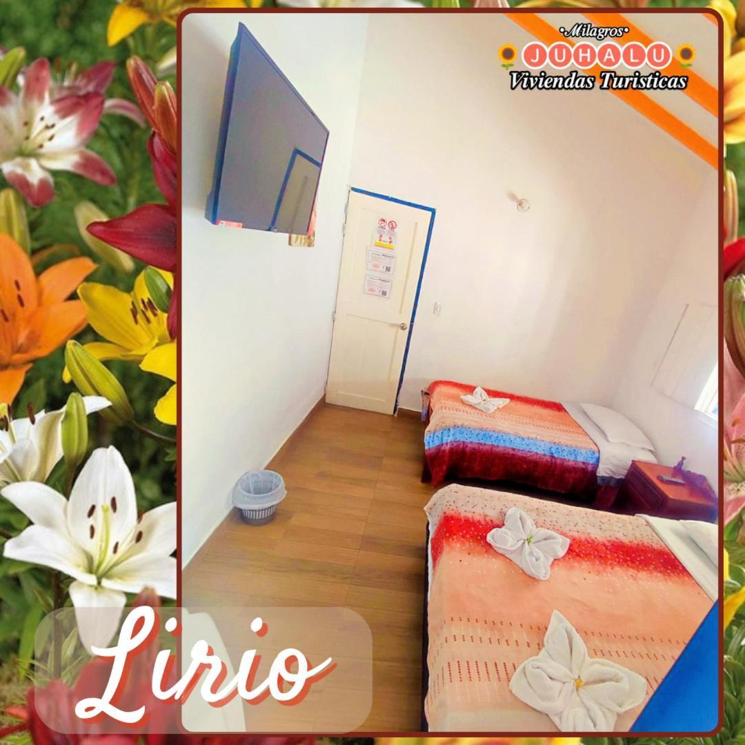ホテル ᒍᑌᕼᗩᒪᑌ ヘリコ 部屋 写真